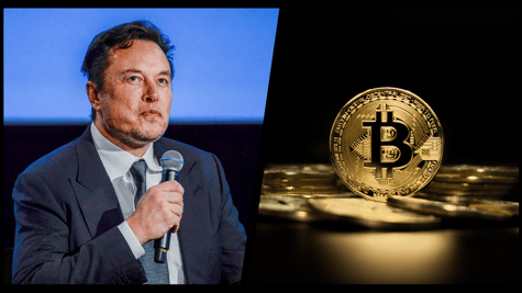 Musk and bitcoin