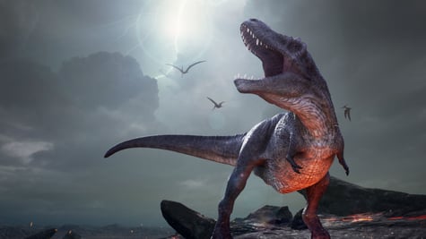dinosaur