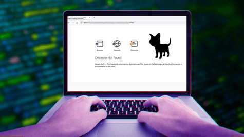 ALPHV ransomware down