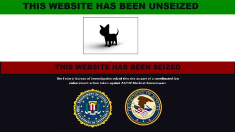 dark blog website seizure
