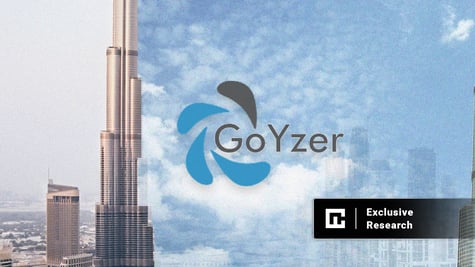 Goyzer data leak