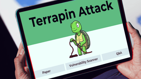 Terrapin attack