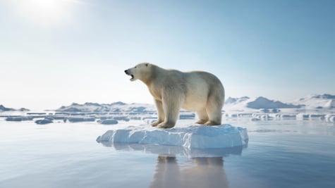 climate change