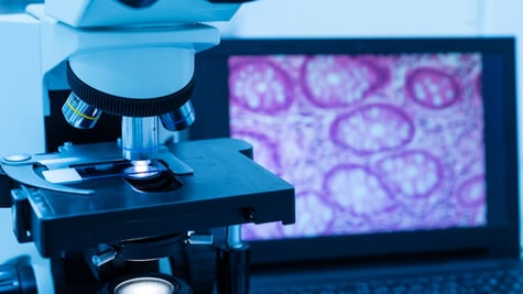 microscope_0124