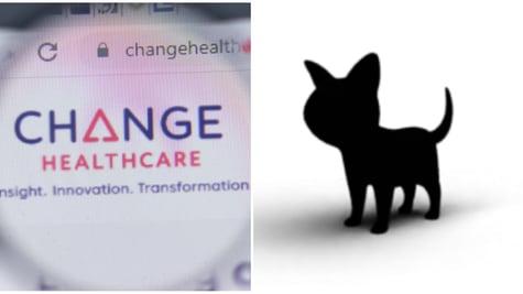 Change Healthcare cyberattack ALPHV/BlackCat