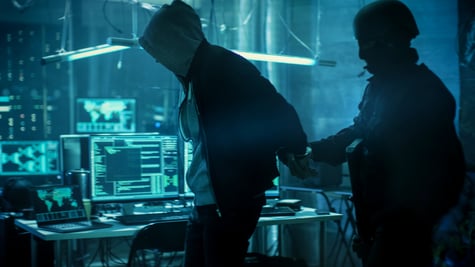 Cyber Task Force, cybercriminal takedown