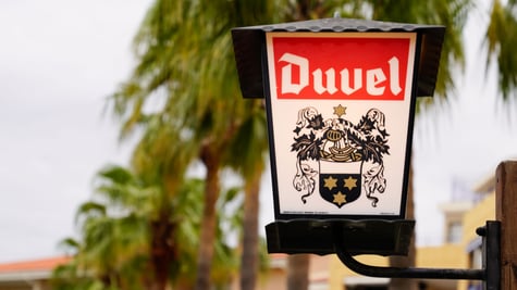 Duvel ransomware