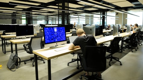 Developer in office
