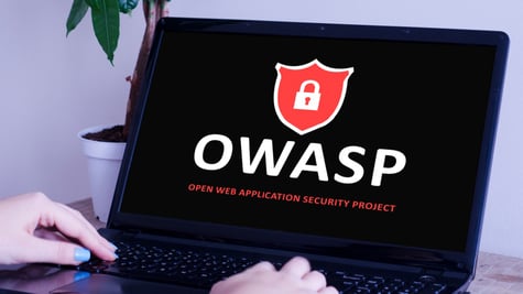 OWASP foundation for the security of software