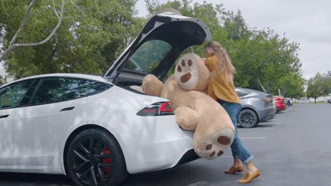 tesla-trunk-teddy-bear