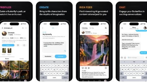butterflies-social-network