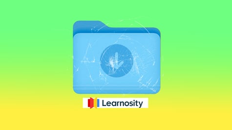 Learnosity cover