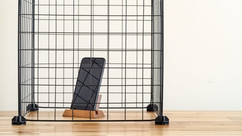 Phone in a cage