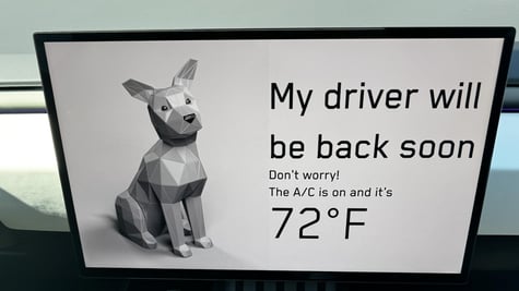 DOG MODE CYBERTRUCK