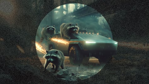 raccoon-cybertruck-1