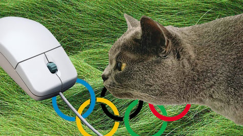 Olympics and pirates