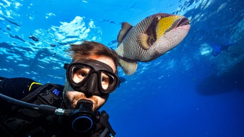 selfie diver