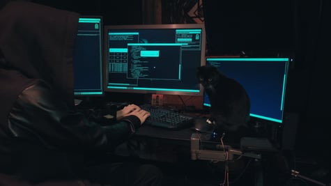 Black cat hacker
