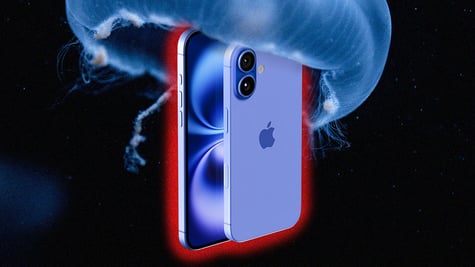 Flaws in iPhone software