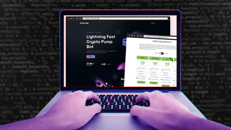 Fake scam website