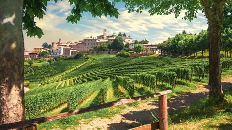 italian wine town