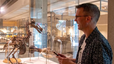 museums-animals-bots