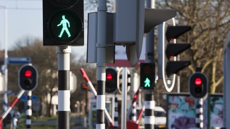 traffic-lights-dutch