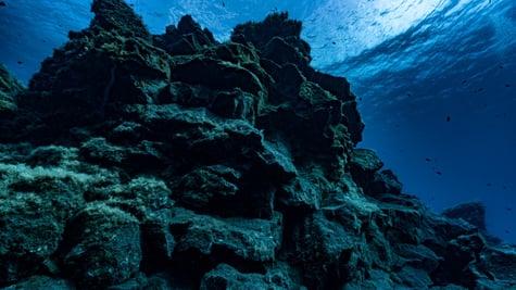 underwater