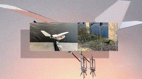 bird drone