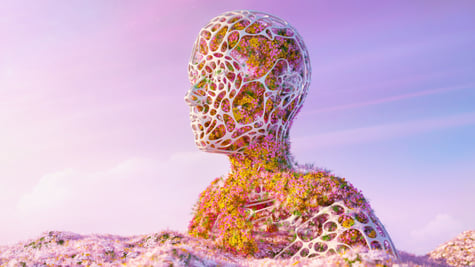 Cortisol Detox