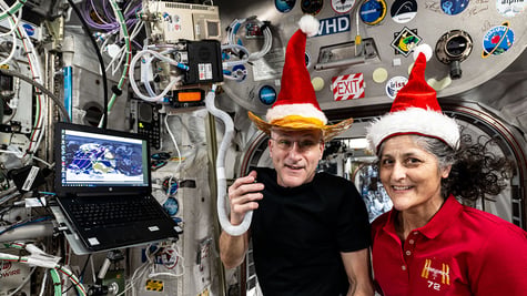 Don Pettit and Suni Williams