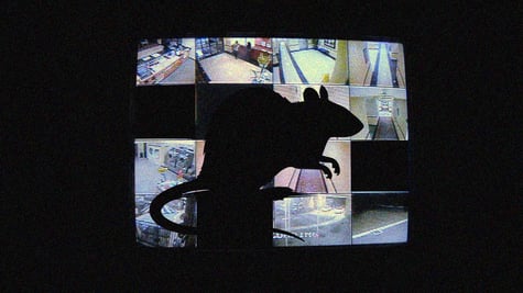 HiatusRAT Chinese web cameras