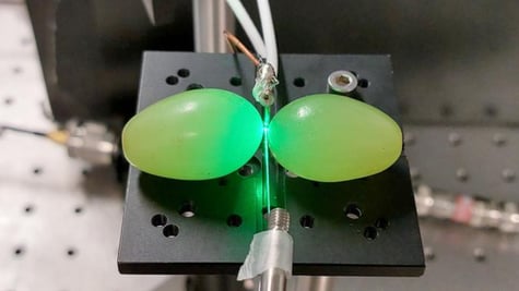 quantum_grapes_1230