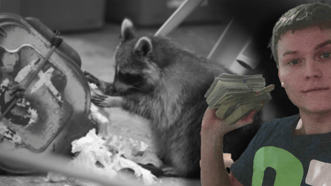 racoon-stealer-operator
