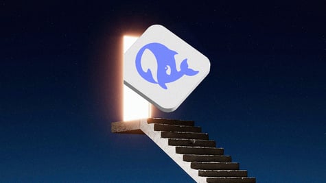 DeepSeek AI model