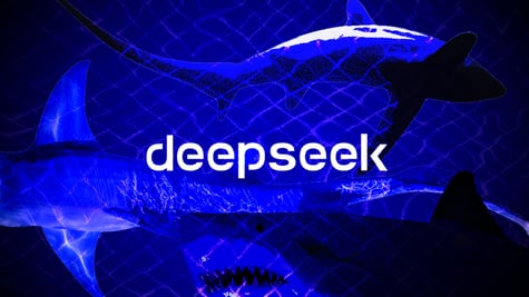 Deepseek with sharks