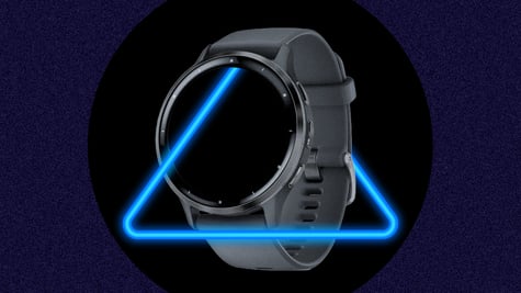 Garmin blue triangle bug