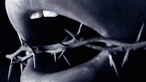 Mouth in thorns