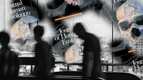 elsevier