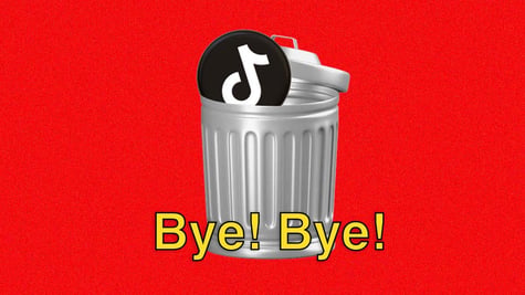 TikTok-bye