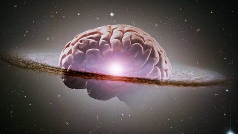 Brain universe