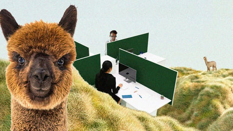 cybersecurity workers