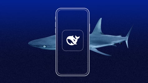 deepseek-android-app