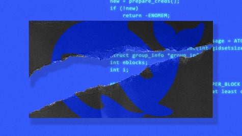 deepseek-code