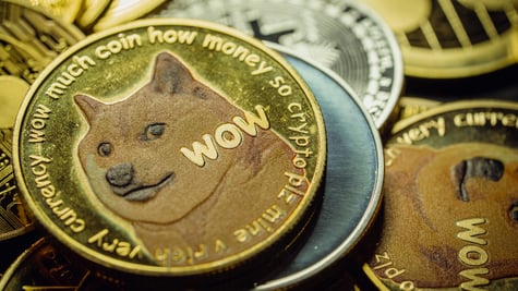 Elon Musk meme coin