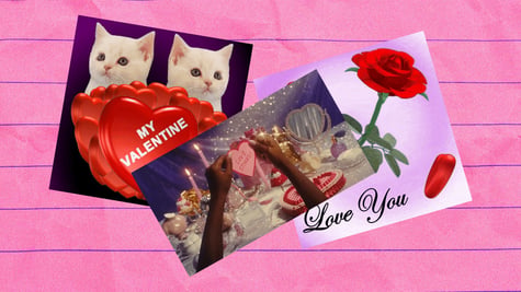 Giphy, GIF, kittens, love, Valentine's Day