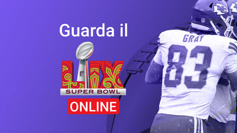 Watch Super bowl LIX banner for IT