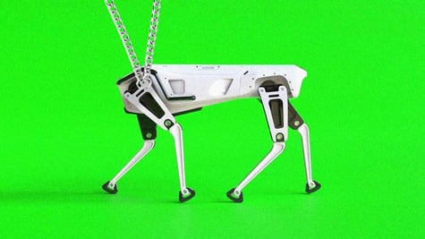 Robot dog with a chain, Unitree, Boston Dynamics