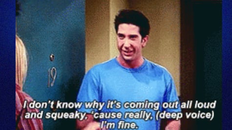 Ross Geller meme