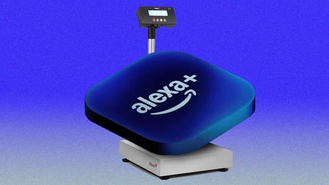 Alexa assistant on a scale
